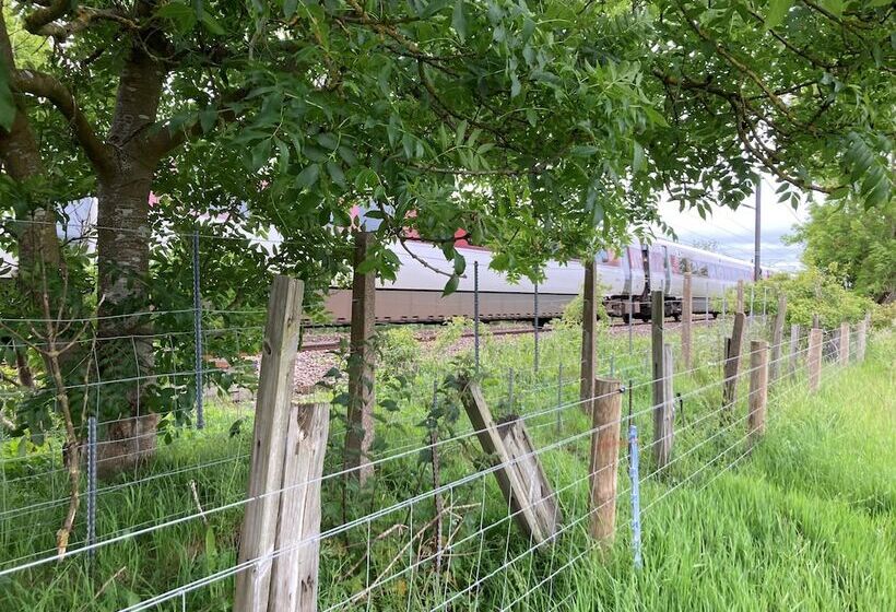 酒店 1br Sleeps2 Garden View Parking Cabin Experience