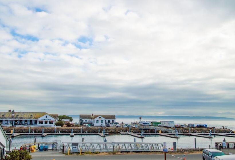 בית מלון כפרי The Swan