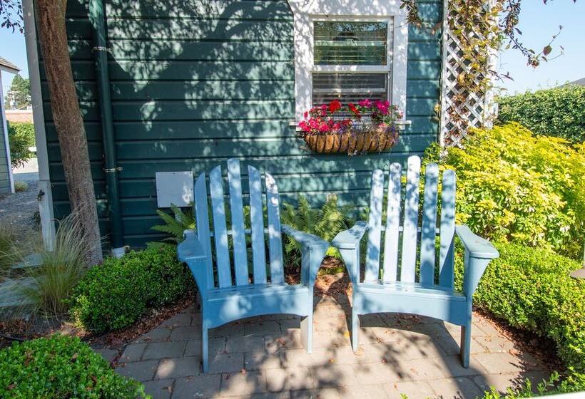 בית מלון כפרי The Swan