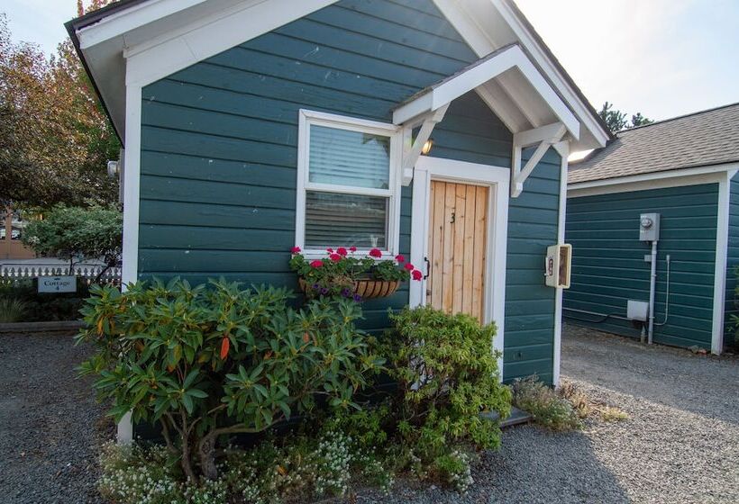 בית מלון כפרי The Swan