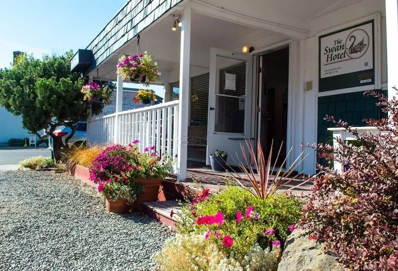 Hotelli The Swan
