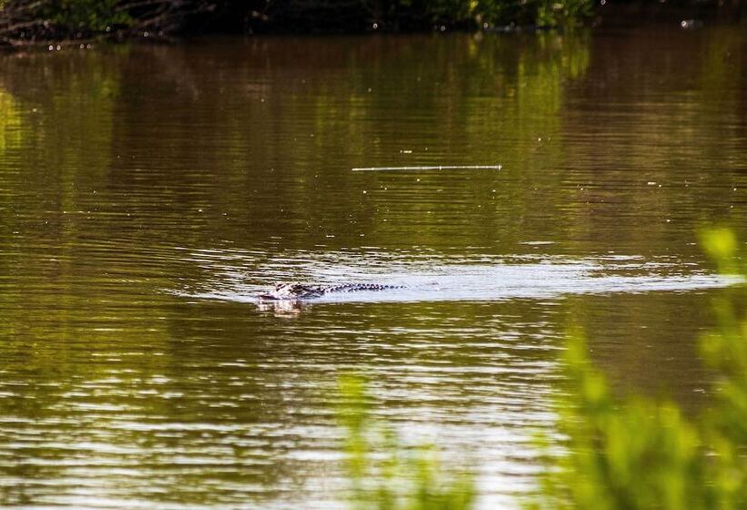 Spacious & Secluded Stilt Home On Fontaine Reserve