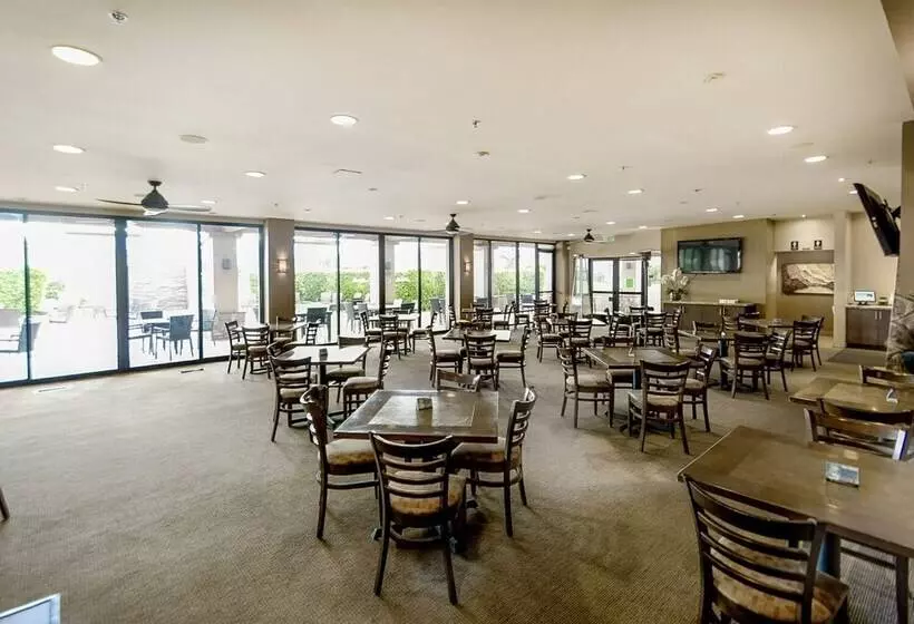 Sunny Palm Desert Home   Swim, Golf & Relax!