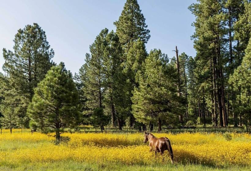 Whispering Hollow Lodge On Greer Main St!