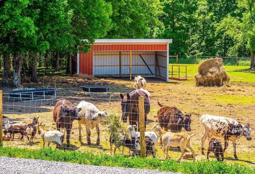 Almost Heaven Too  50 Acre Escape W/ Pond!