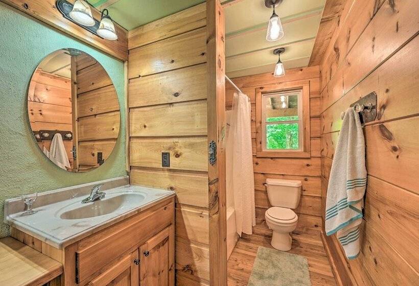 Blue Ridge Mountain Views   Fancy Gap Cabin