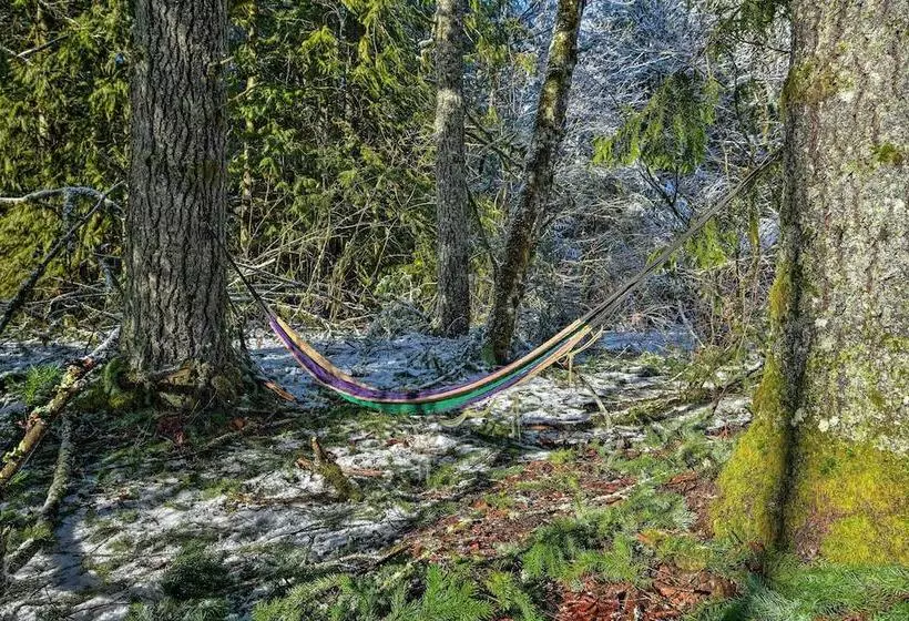 Mysty Mountain Cabin On River: Near Stevens Pass!