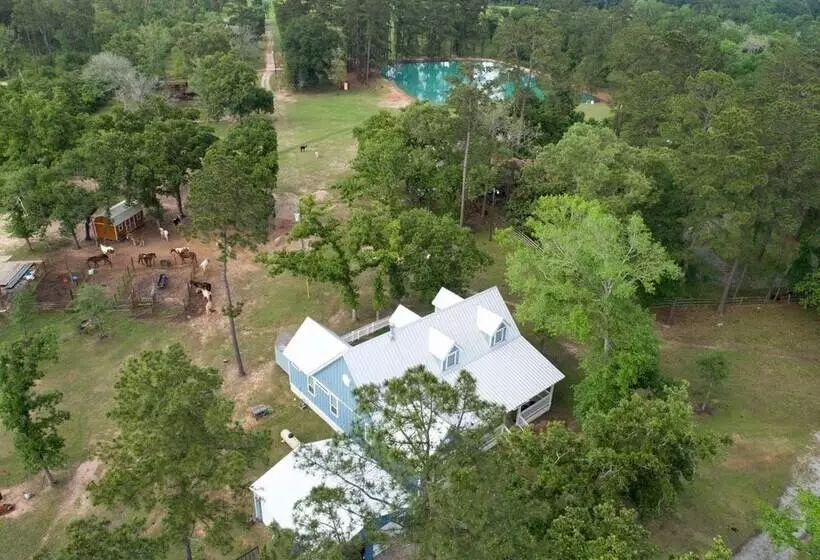 Tranquil Plantersville Cabin: Farm Animals On Site