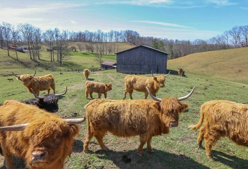 Highland Haven: Cabin On Working Cattle Farm!