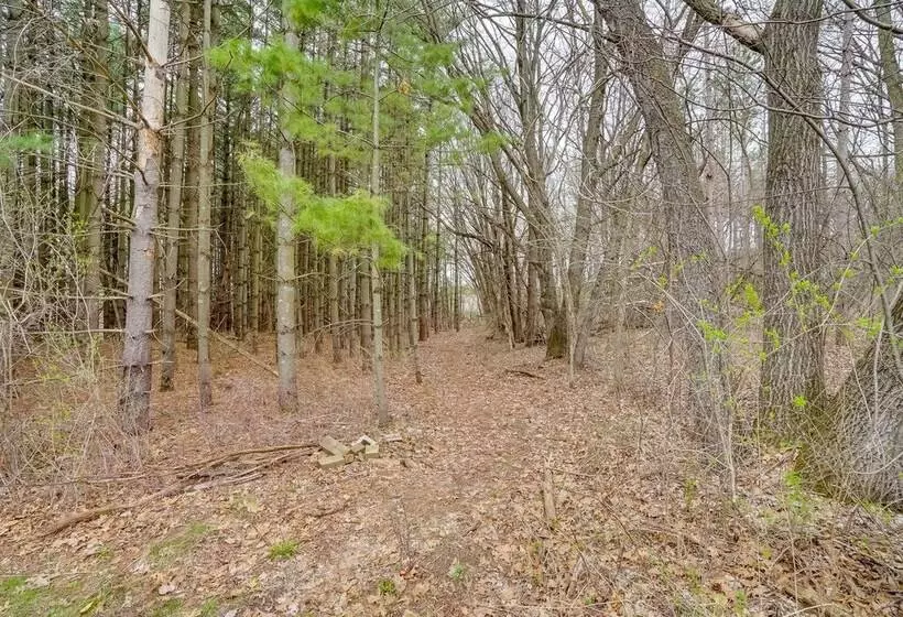 Pet Friendly Cabin Retreat: Walk To Lake Pepin!