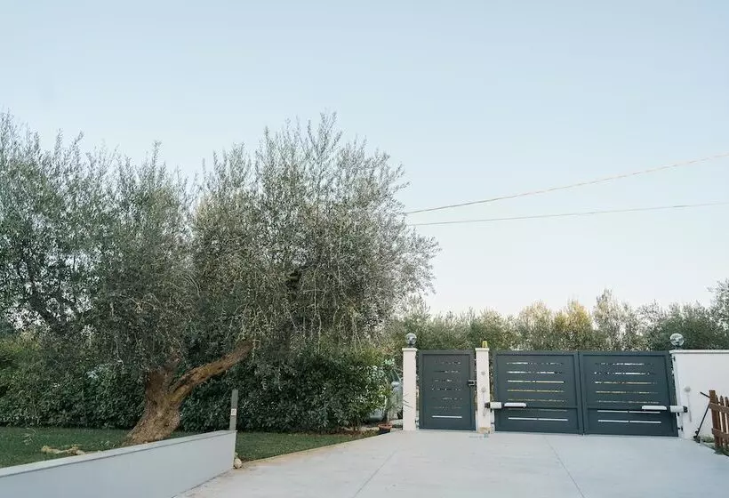 B&b Tana Del Riccio