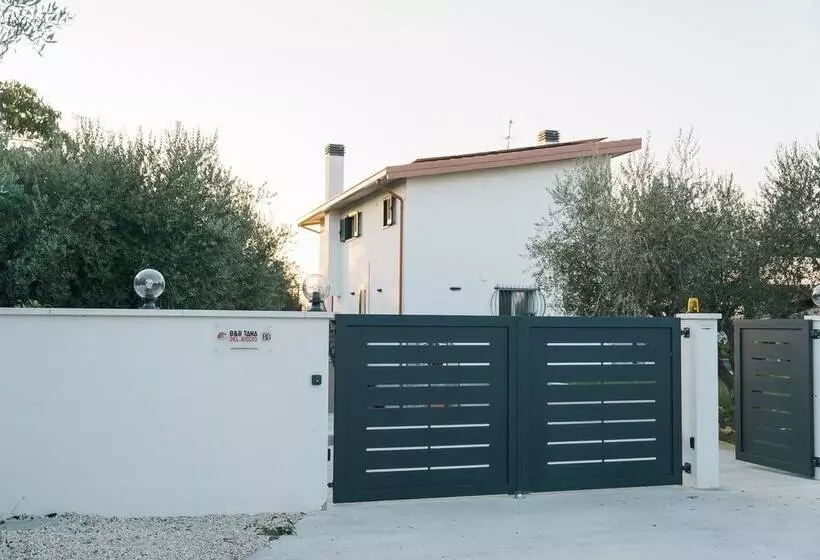 B&b Tana Del Riccio