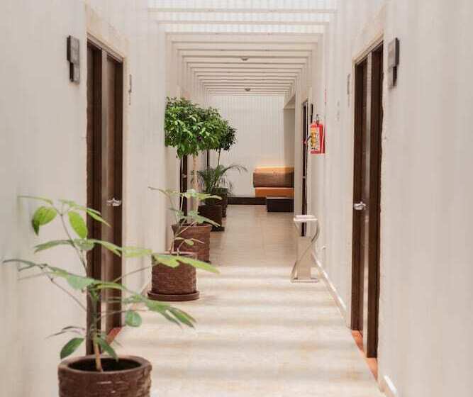 Отель Real Del Oro