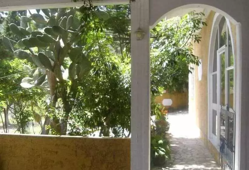 La Cite Family Hotel & Apartments