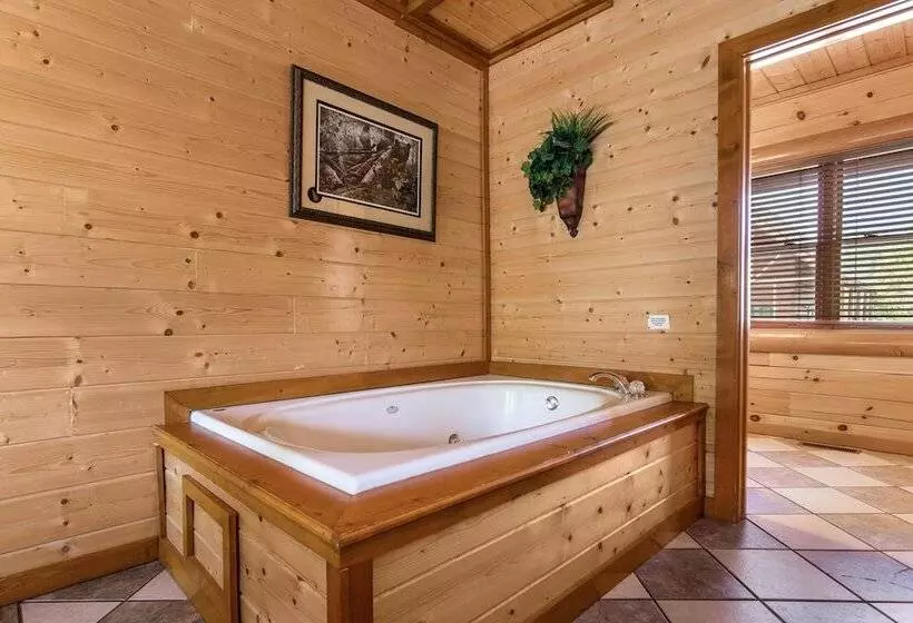 Mountain Theatre Lodge