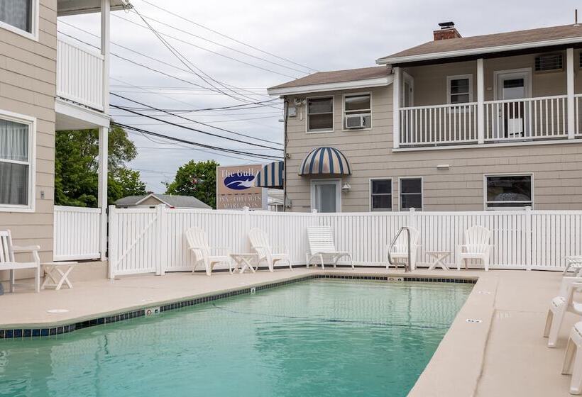 The Gull Oceanside Inn & Motel