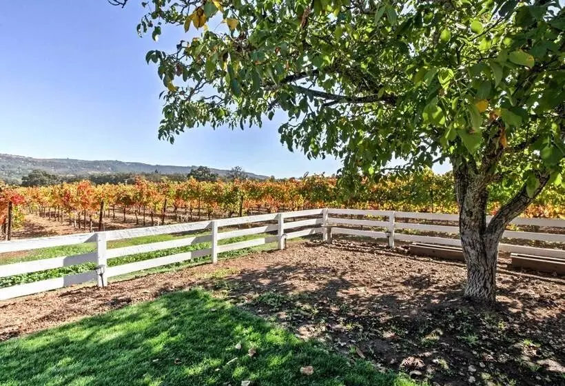 Beautiful Sonoma House W/ Patio & Vineyard Views!