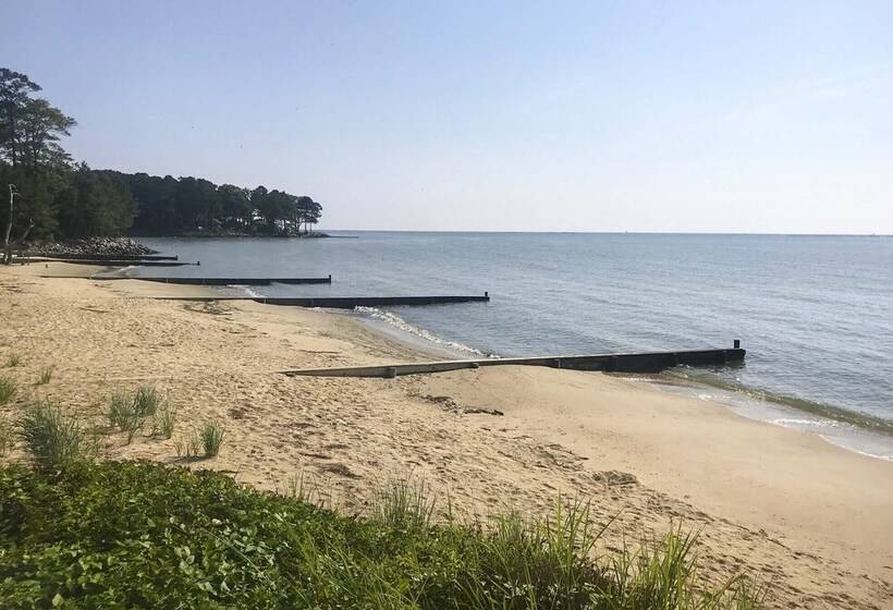 Shore Thing Bayfront House W/ Provided Kayaks!