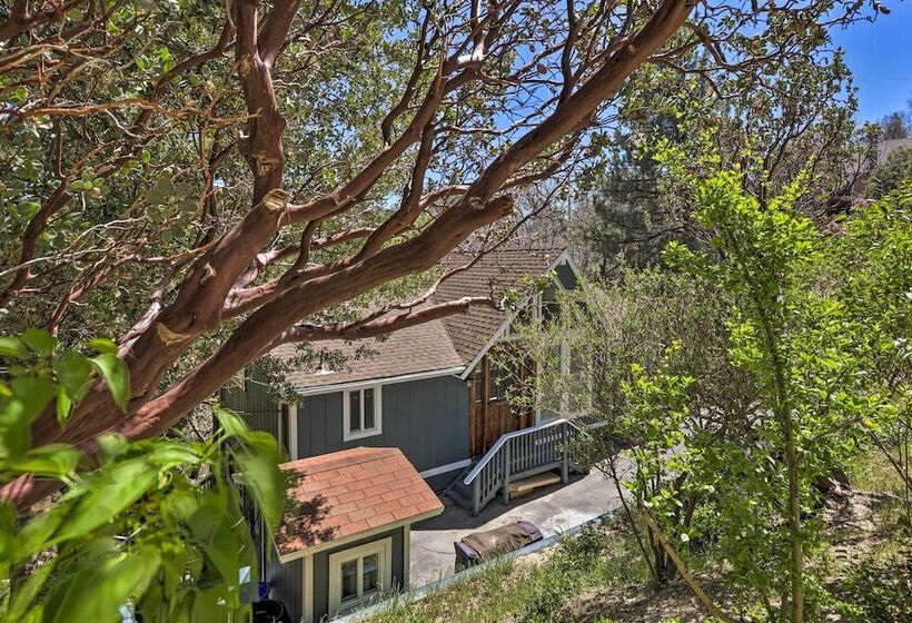 Stunning Lake Arrowhead Cabin W/ Lake Views!