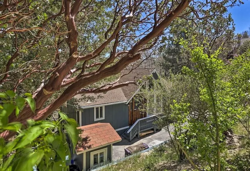 Stunning Lake Arrowhead Cabin W/ Lake Views!