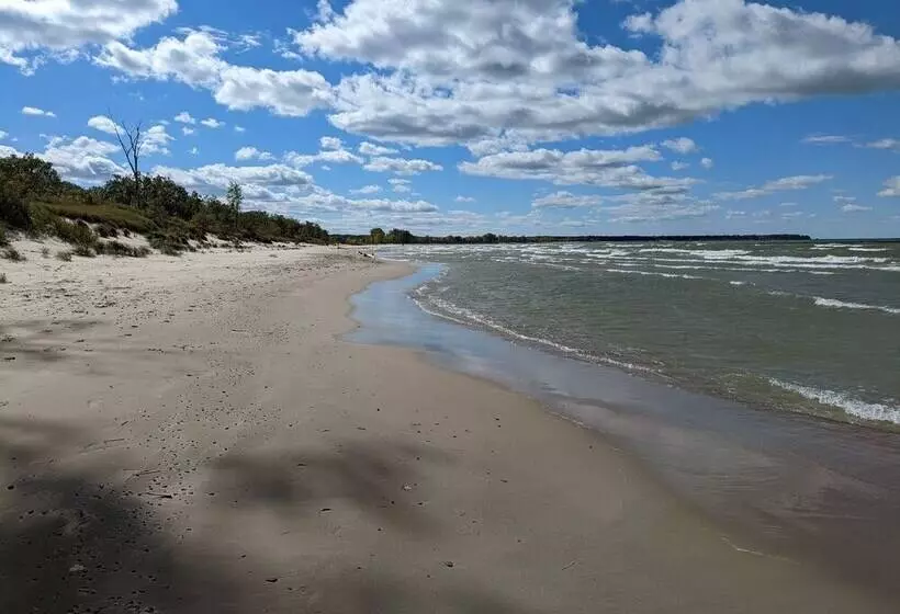 Little Yellow Cottages