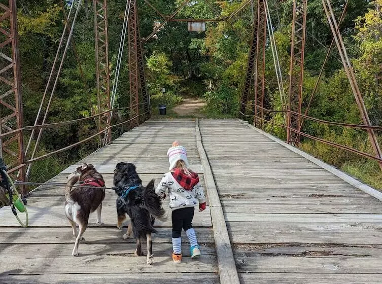 Little Yellow Cottages
