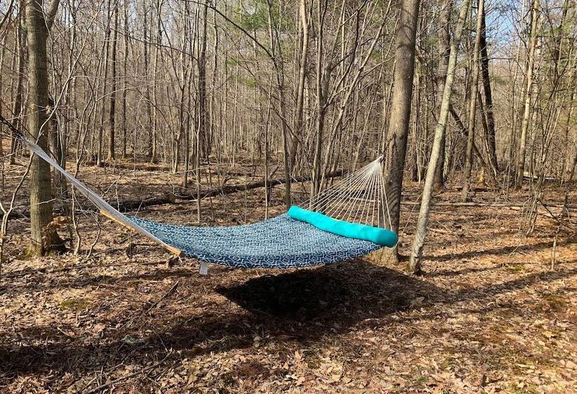 Private 7 Acre Retreat: On Site Pond, Streams