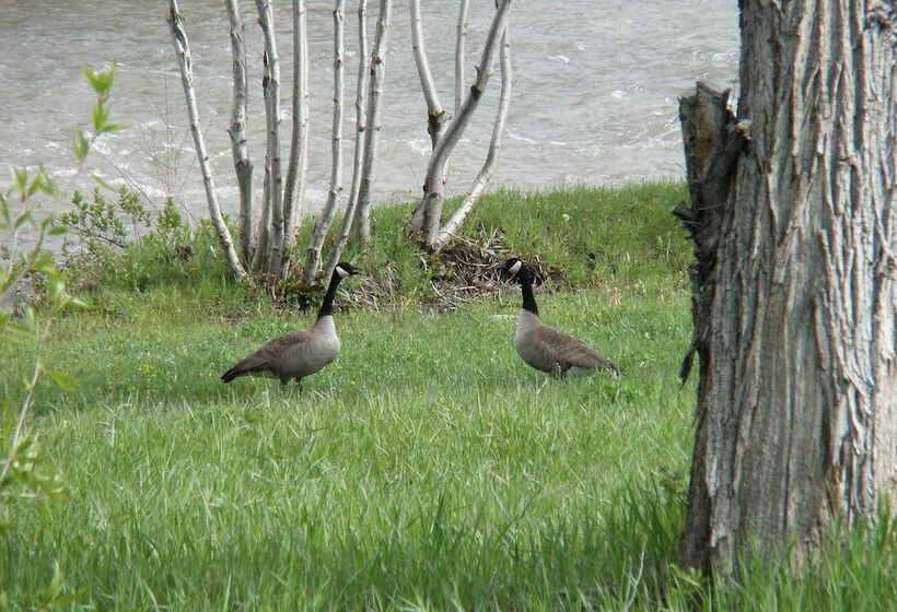 The River Home Cabin W/ Yard: Near Wolf Creek!