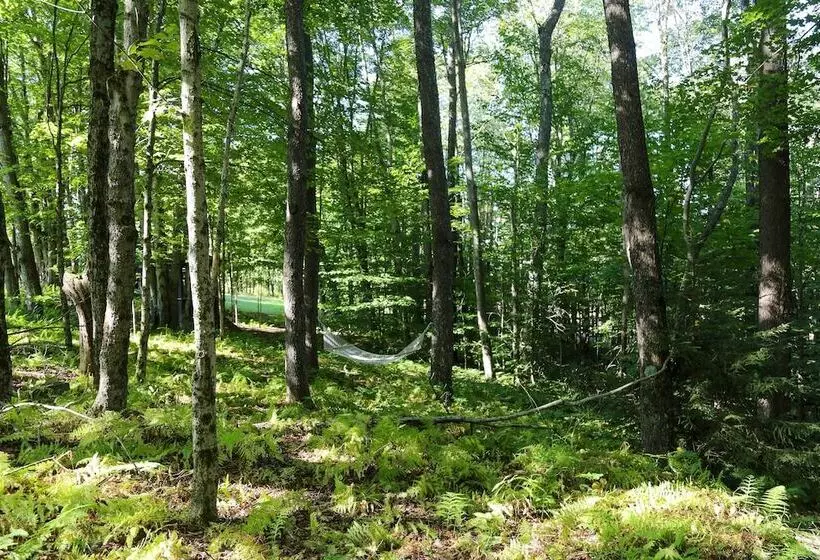 Modern Hideaway W/ Deck + State Forest Access