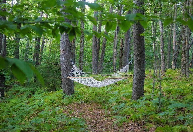 Modern Hideaway W/ Deck + State Forest Access