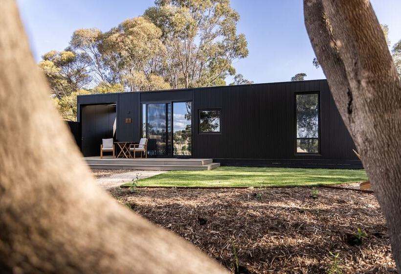 Cabn X Seppeltsfield Barossa