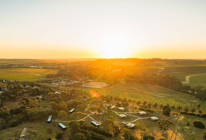 Cabn X Seppeltsfield Barossa