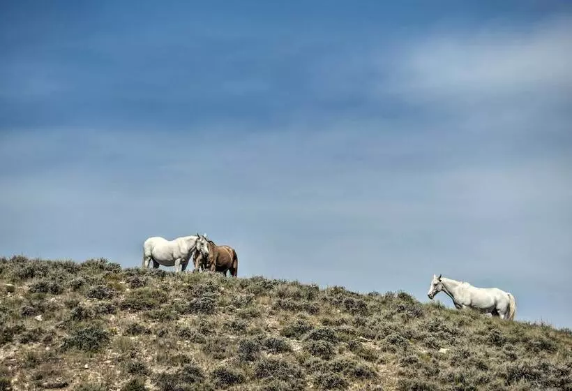 Exquisite Log Home With Lander Valley Views!
