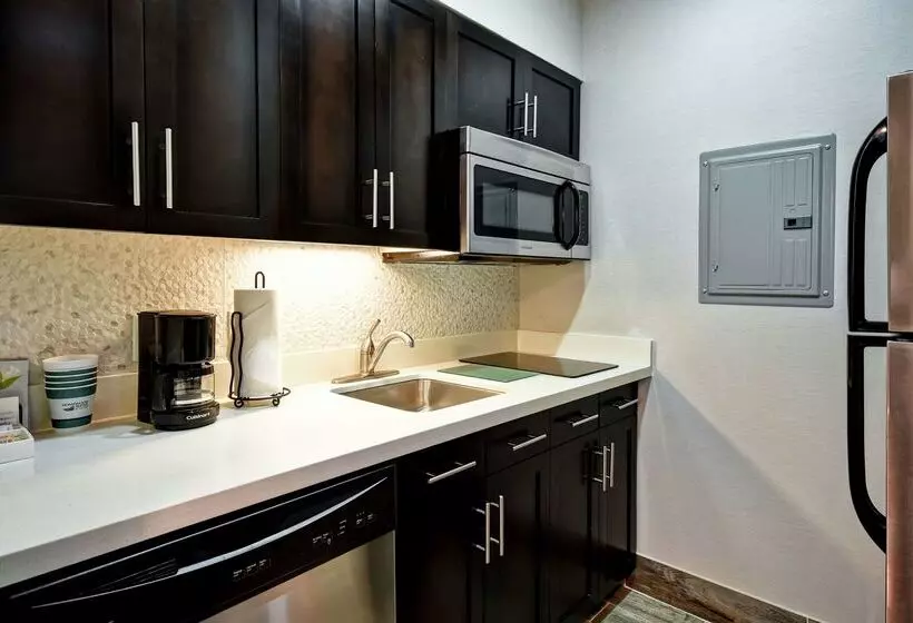 ホテル Homewood Suites By Hilton Dallas Arlington South