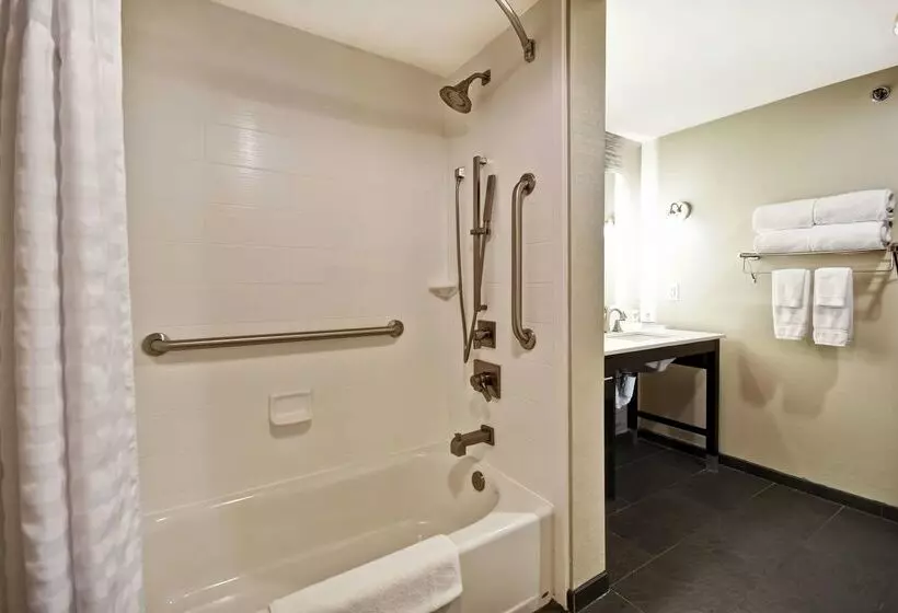 ホテル Homewood Suites By Hilton Dallas Arlington South