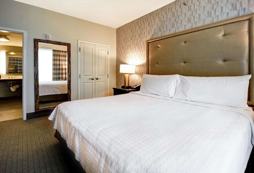 هتل Homewood Suites By Hilton Dallas Arlington South