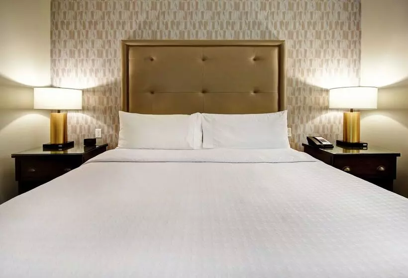 ホテル Homewood Suites By Hilton Dallas Arlington South