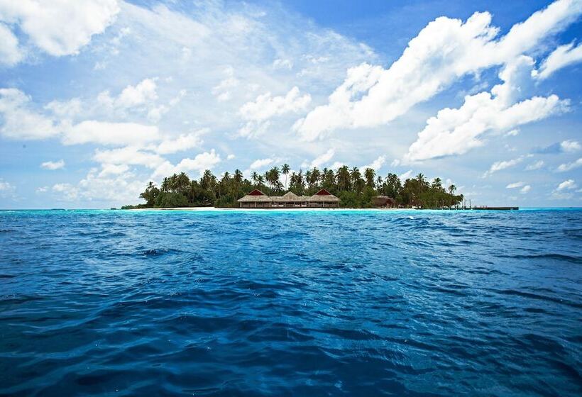 هتل Malahini Kuda Bandos Resort