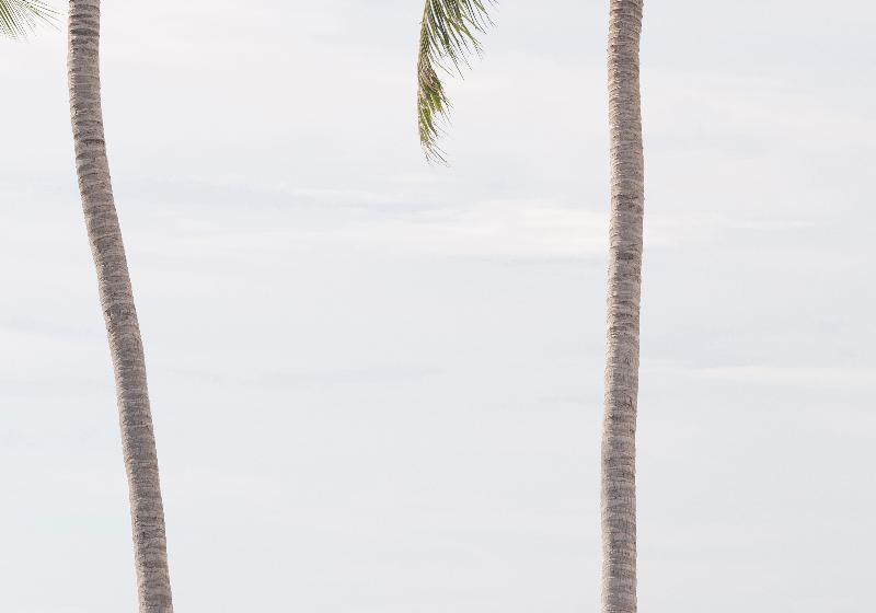 The Privilege Hotel Ezra Beach Club