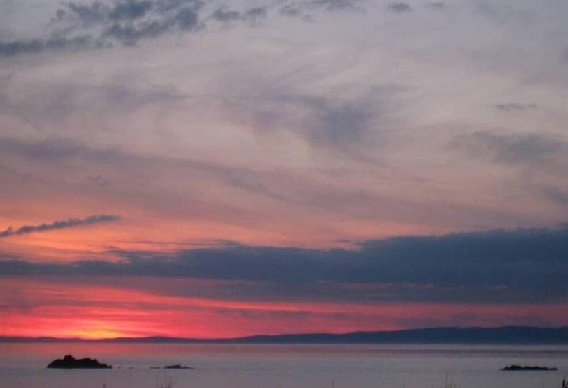 ホテル Woodland Bay