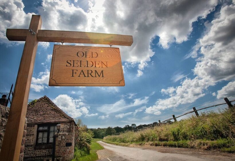 Old Selden Farm B&b