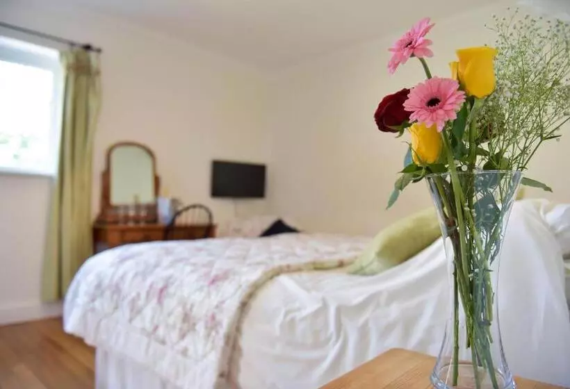 Old Selden Farm B&b