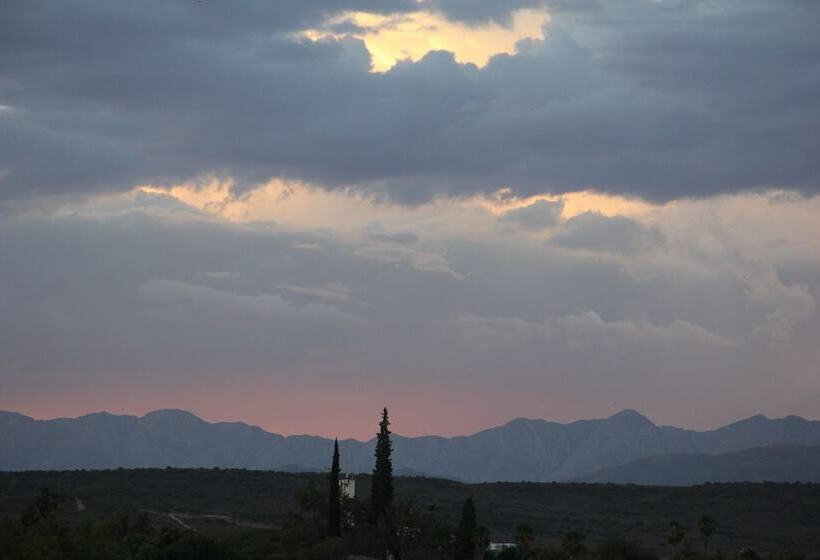 פנסיון Gumtree Guest House