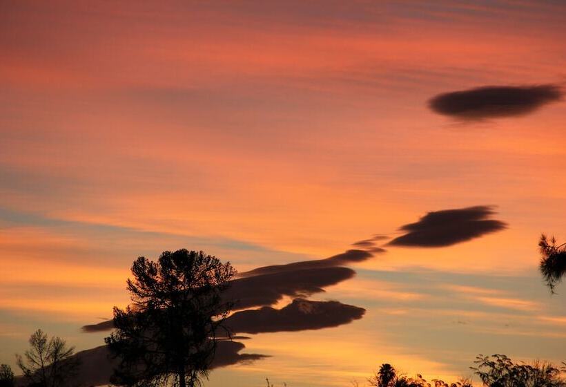 פנסיון Gumtree Guest House