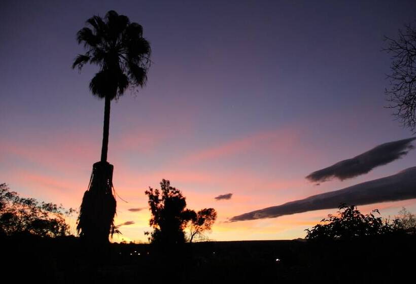 פנסיון Gumtree Guest House