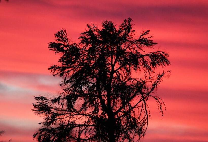 פנסיון Gumtree Guest House