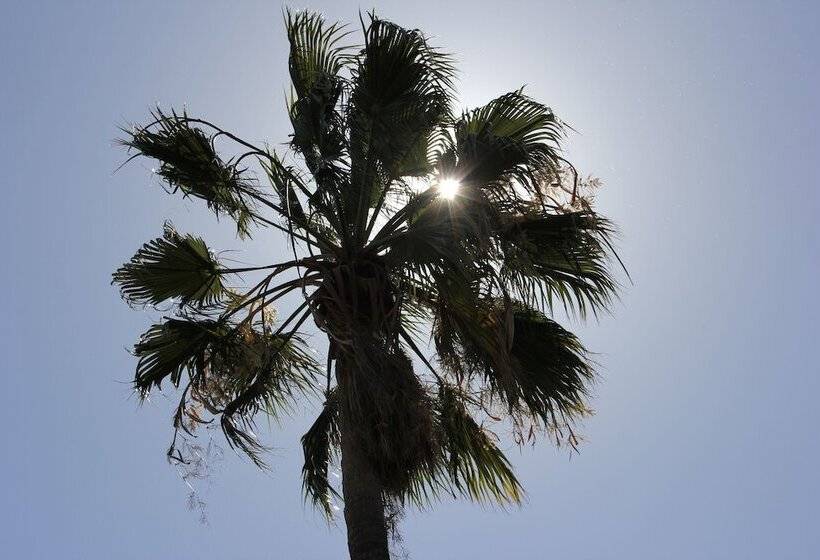 פנסיון Gumtree Guest House