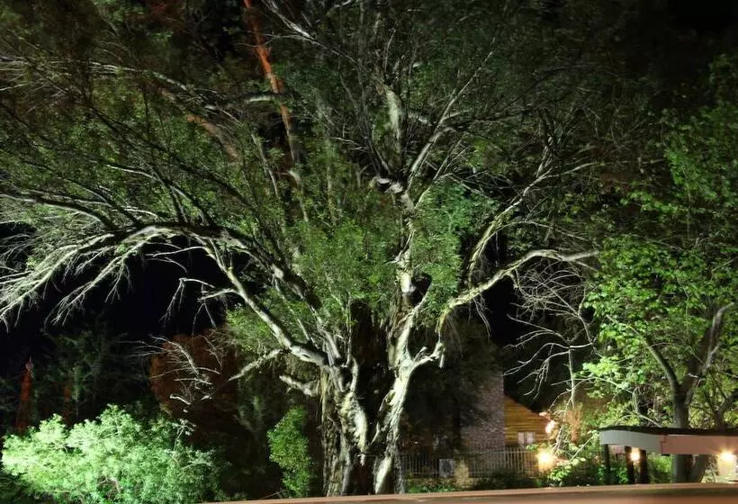 پانسیون Gumtree Guest House