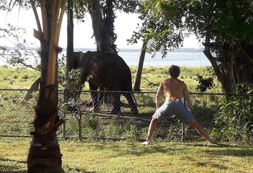 膳宿费 Pharo Lake