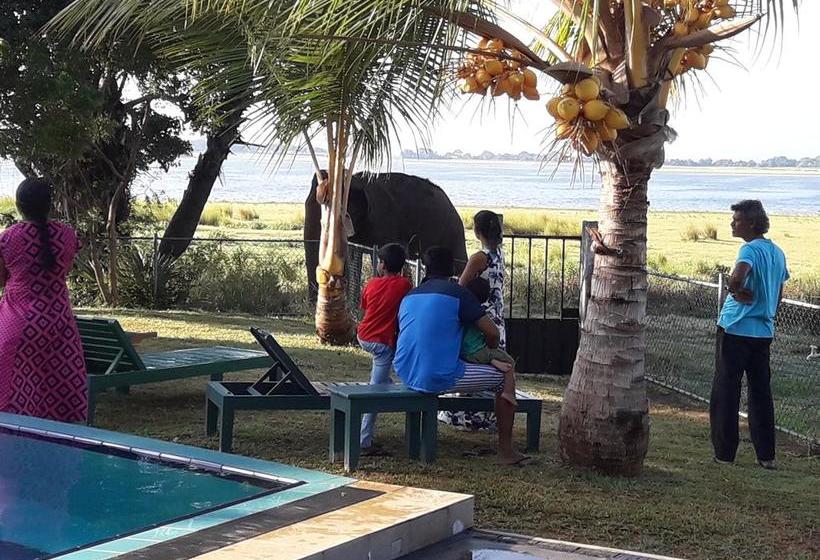 膳宿费 Pharo Lake